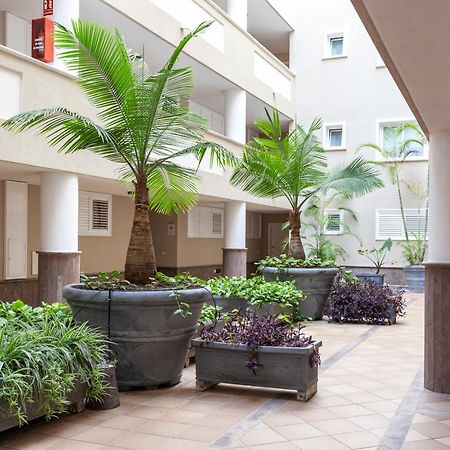 Apartamento Ocean View Puerto de Santiago  Ngoại thất bức ảnh